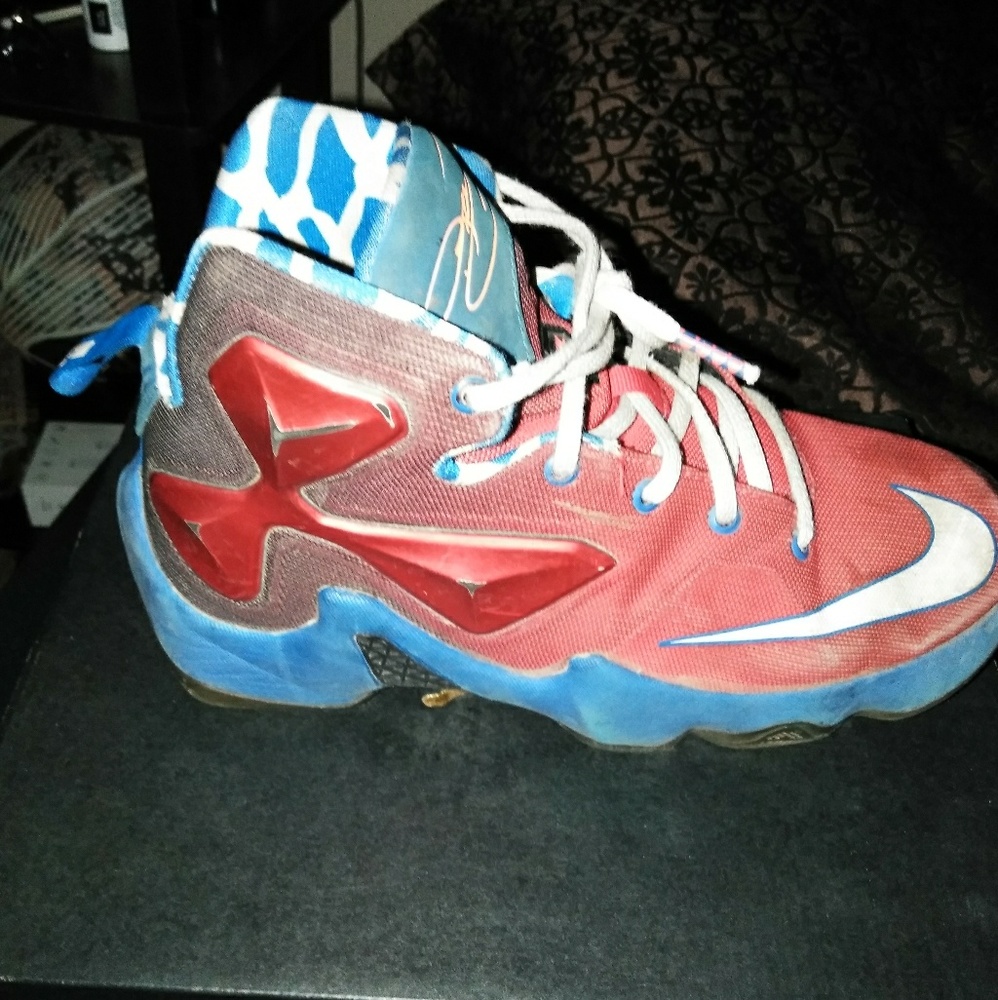 Labron jordans